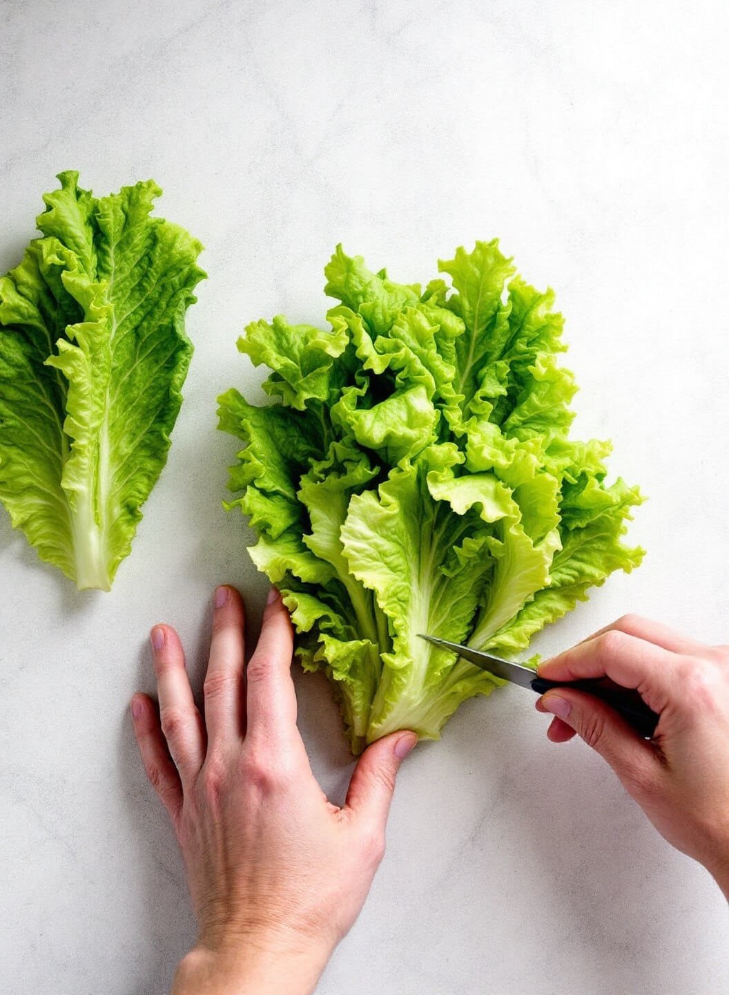 Authentic Keto Beef Tacos With Cheese Shells Or Lettuce Wraps 5 Person separating and drying crisp butter lettuce leaves