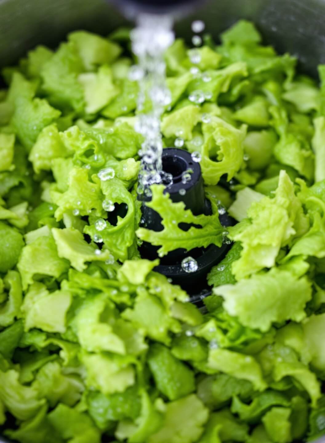 Homemade Keto Caesar Salad (No Croutons) 5 Chopped romaine lettuce being washed in a salad spinner with water droplets, in a bright kitchen setting.